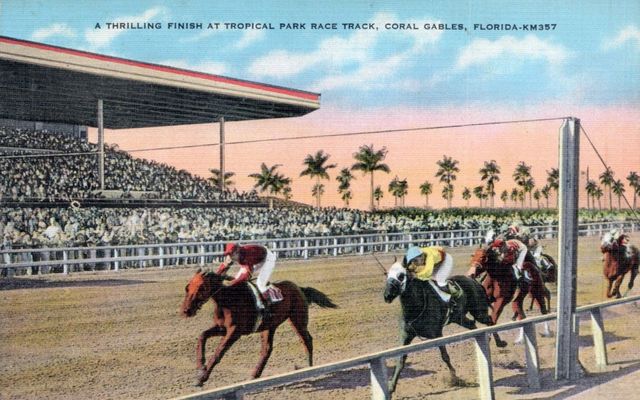 Horses at the finish line of a race track
