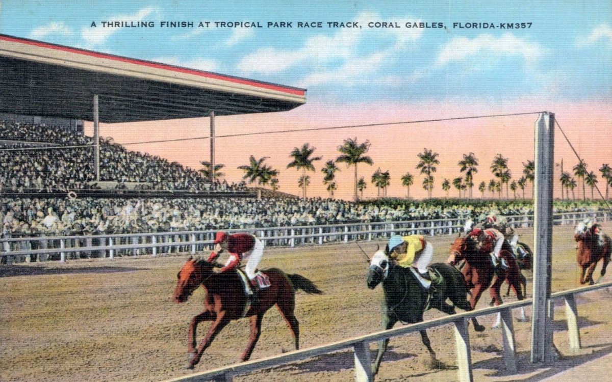 Horses at the finish line of a race track