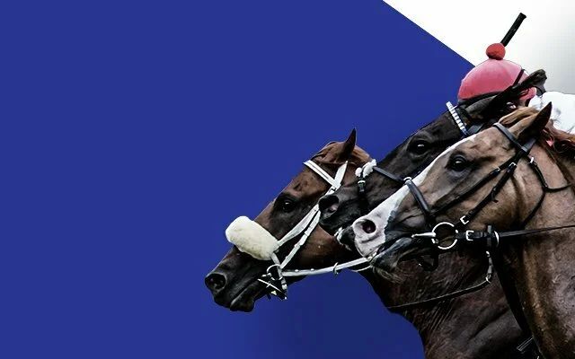 Online Horse Betting in Montana 2026