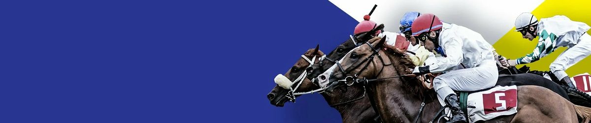Online Horse Betting in Montana 2026