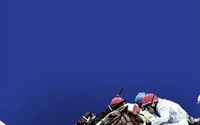 TVG in Montana Review